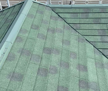 ディプロマットスター