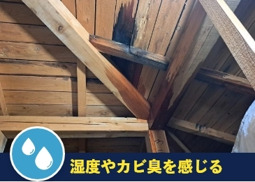 湿度やカビ臭を感じる