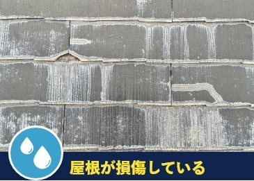 屋根が損傷している